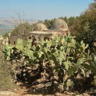 Destroyed Villages I