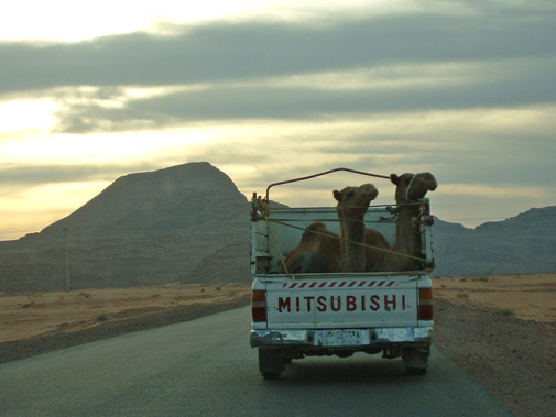 Jonathan Cook's website subscription: Thank you for subscribing